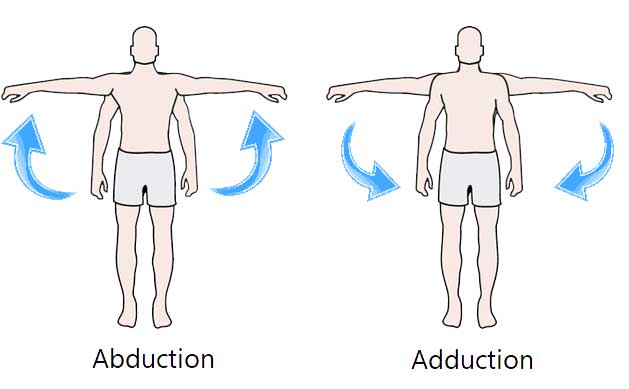 MedFog examiner Drop arm test